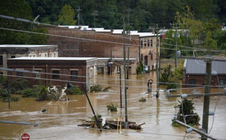 I feared Hurricane Helene had taken my family. One year later, we have hope and are rebuilding