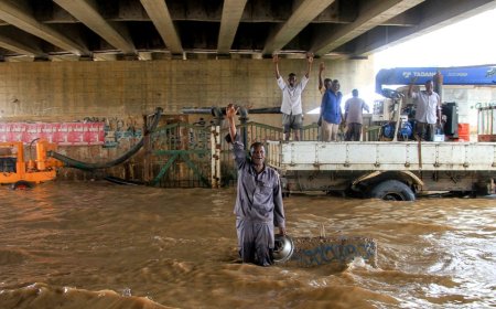 Landslide kills over 1,000 people and levels entire village in Sudan's Central Darfur