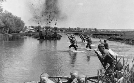 人类如何被推向战争并长期陷入其中？