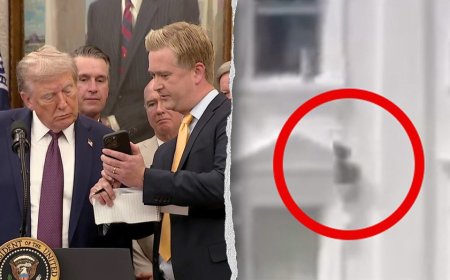 Trump addresses bizarre viral video of mystery items tossed from White House window