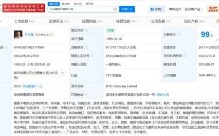比亚迪注册资本大幅增至约 91.17 亿元，增幅达 200%