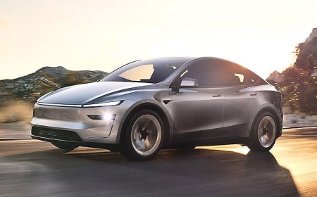 「特斯拉Model Y關稅太貴了」印度沒人買！開賣2個月訂單才600張