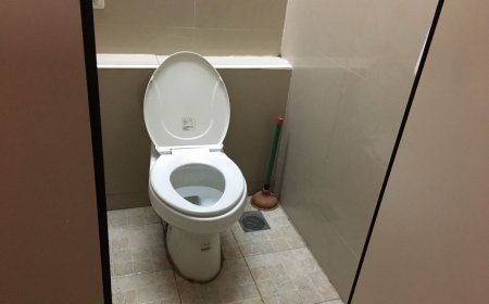 上完廁所「衛生紙丟哪才對？」　環境部列3好處：就是要丟馬桶