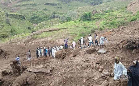 苏丹西部冲突地区发生山体滑坡，村庄被夷平或1000人遇难