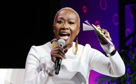 Ex-MSNBC host Joy Reid revives conspiracy about 'alleged' Trump assassination attempt
