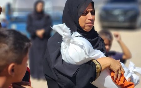 为什么种族灭绝学者协会将以色列对加沙的战争定性为种族灭绝？