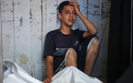 以色列袭击加沙致包括儿童和记者在内的105人死亡