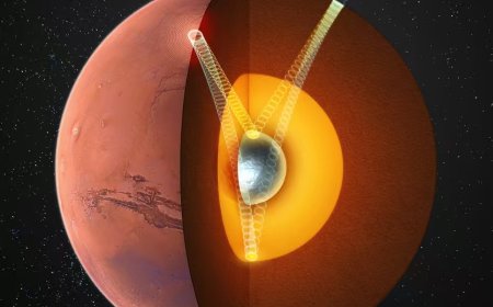 火星存在固态内核，中国科大最新发现首次确证