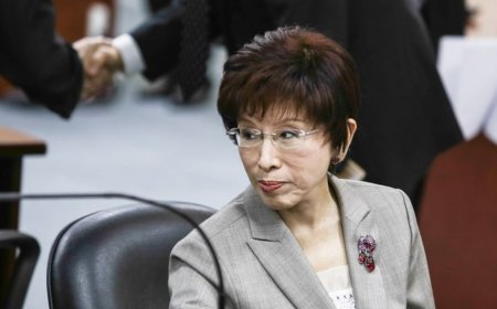 陸委會罕見當白臉！梁文傑認了：洪秀柱赴93閱兵並非法律懲罰對象