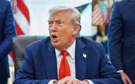 嗆風電是騙局不只是說說　川普政府第三度展開大行動劍指風能產業