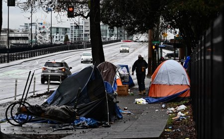 Portland mayor warns city to fix homeless problem before Trump 'deploys bulldozers'