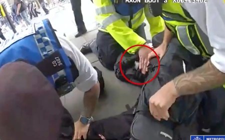 Watch moment police tackled teen suspected of carrying imitation firearm after Chelsea vs Fulham