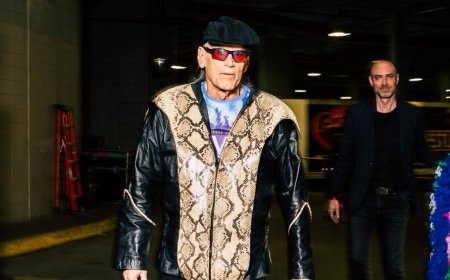 I sued WWE and won $800k before making stunning comeback after 40 years