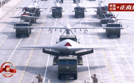 从九三阅兵中，外国元首和政府代表们看到了什么？