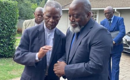 刚果危机：南非和平对话中缺席却又存在的议题