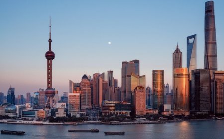 新政后上海土拍揽金111亿：中铁力压保利拿下杨浦滨江地，宇诚、精工首入沪