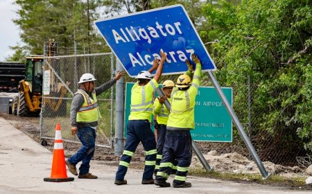 Operations at 'Alligator Alcatraz' back on after appeals court halts judge's order