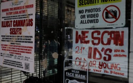 特朗普真的考虑放宽大麻限制吗？