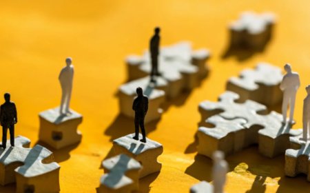 岳阳林纸董事长叶蒙离任，公司上半年净利润同比下降7.13%