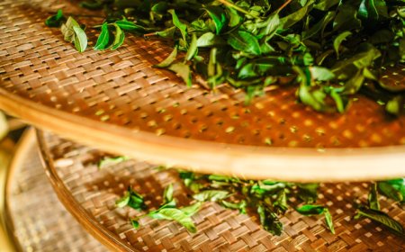 筹备上市的八马茶业发现熟客不够用了