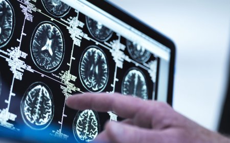 腸道菌能影響記憶！恩主公攜手台大研究找到「抗失智新突破口」