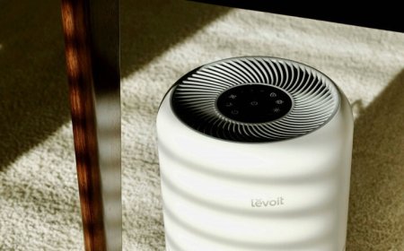 空氣清淨機「有助降血壓？」　最新研究證實了