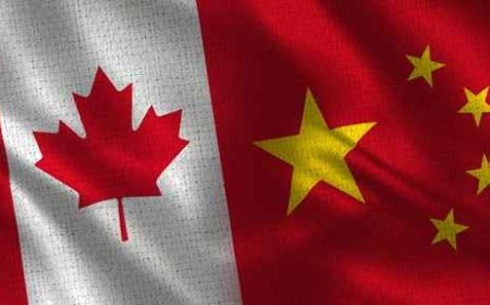 貿易緊張緩解　陸延長對加拿大油菜籽反傾銷調查半年