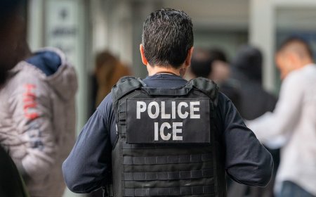 North Carolina city declares itself a 'Fourth Amendment Workplace' to protect illegal immigrants from ICE