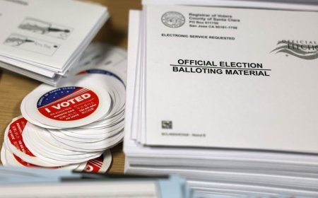 California woman facing felony charges for registering her dog to vote, casting 2 ballots