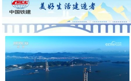 一跨 1768 米，国内最大跨度跨海桥“双屿门特大桥”首个主塔封顶