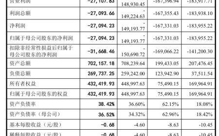 摩尔线程 2025 上半年营收 7.02 亿元，超过去三年之和
