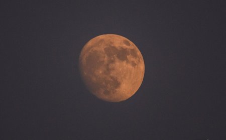 9/8月全食「血月」奇景　嘉義市府邀民眾文化公園觀賞