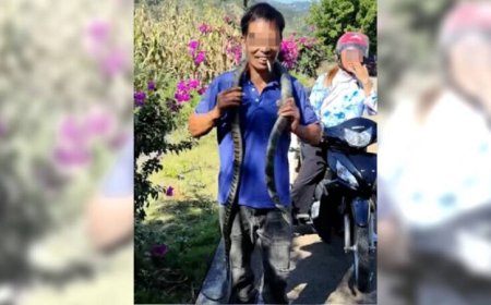 以為無毒！男子將「眼鏡王蛇」掛脖、鑽褲管遭咬...1小時後慘死