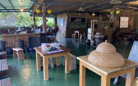 台東3姊妹吃飯「剛喝完餐前茶」疑茶醉暈眩、四肢無力　緊急送醫