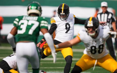 Steelers' Mike Tomlin bizarrely describes kicker Chris Boswell as 'serial killer'