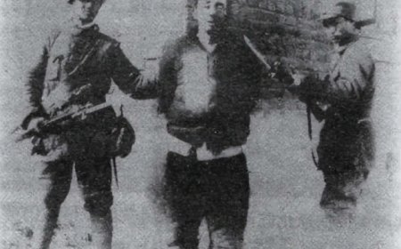 一周军评：尤其人民军队，更是天下难找