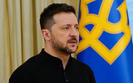 泽连斯基：乌军使用的武器中近60%为“国产”