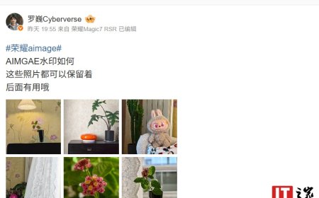 荣耀 AiMAGE 影像全新水印曝光，罗巍透露色块设计元素“是有用的”