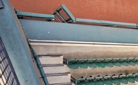 伸手也難及的距離！　金鶯主場外野設計讓帕赫斯救不了山本的無安打