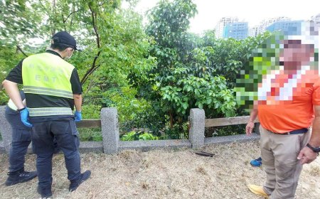 淡水健行活動死亡意外！木質圍欄突斷裂　男摔落5米送醫不治