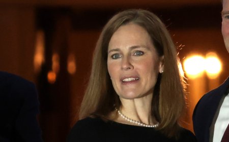 Barrett says justices 'wear black, not red or blue' in response to partisan critics in Fox News interview