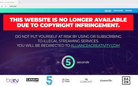 年访问 1.23 亿次的 Calcio 盗版体育直播网停运：涉 134 个域名，含欧冠、世界杯等赛事