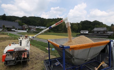 美日贸易协议开始实施，正冲击日本农协的利益