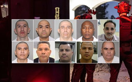 Massive ICE operation nets gang members, murderers, child predators: 'wreaked havoc'