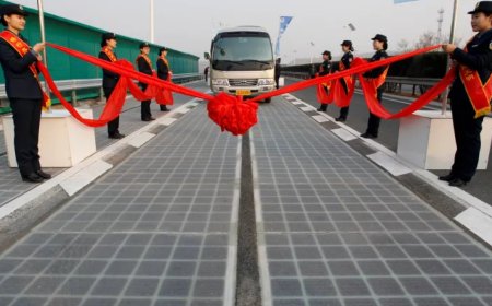 报告：中国引领清洁能源革命但也带来了二氧化碳排放