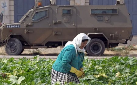 约旦河西岸的巴勒斯坦妇女通过农业抵制定居点扩张