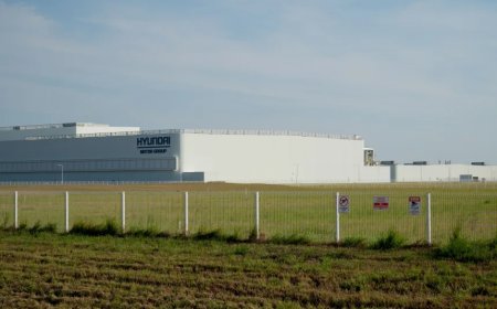 “想办你就办你”，韩国人反思还有用吗？