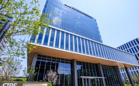 上海国际再保险登记交易中心：支持再保险发展，线上线下双发力 | 活力中国调研行