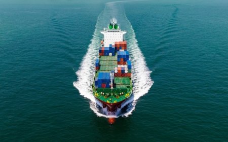 上海知识产权生态护航无人驾驶卡车出海 | 活力中国调研行