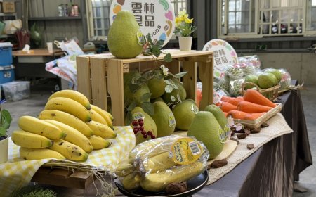 雲林良品啟航！文旦、香蕉裝櫃新加坡　展現台灣農產國際競爭力